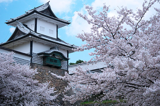 杉村歯科医院 院長